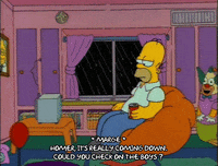 Season 2 Episode 21 GIF by The Simpsons
