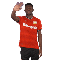 See You Goodbye Sticker by Bayer 04 Leverkusen