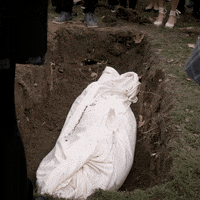 thesociety  GIF