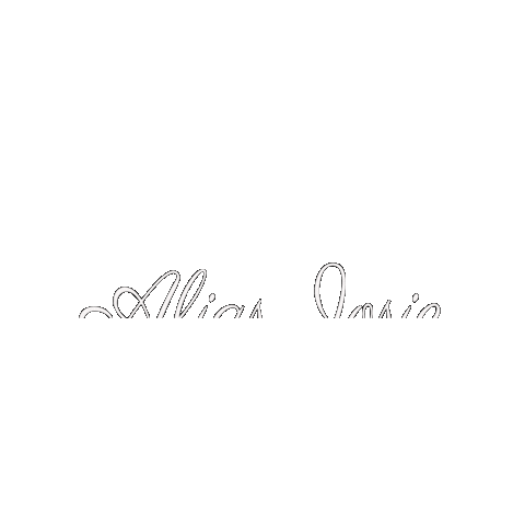 AliasJosie photographer josie boudoir alias josie Sticker
