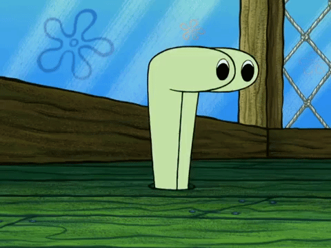 season 6 gullible pants GIF by SpongeBob SquarePants