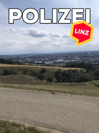 City Wow GIF by Linz News