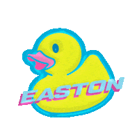 Pool Party Baseball Sticker by Easton Diamond Sports, LLC.