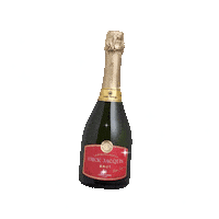 Champagne Espumante Sticker by Casa Perini