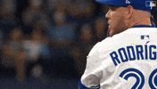 Blue Jays Baseball GIF by Toronto Blue Jays