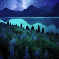 DoYouMoose space star stars night GIF