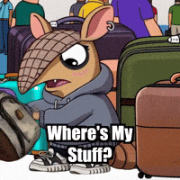 Travel Adventure GIF by Chillo Dillo