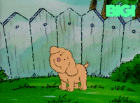 Dog Smile GIF by BIGI_TV