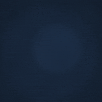 talladega superspeedway GIF by MoneyLion