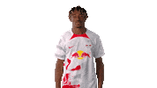 Vamos Lets Go Sticker by RB Leipzig