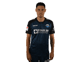 Raphael Scp07 Sticker by SC Paderborn 07