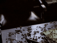 x files GIF by The X-Files