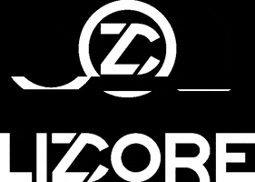 Lizcore climbing lizcore GIF