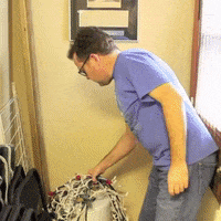 tbt GIF by Brittlestar