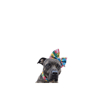 Bow Farmhands Sticker by JSRanchDogDesigns