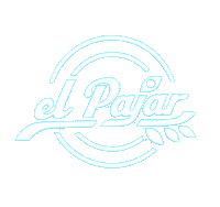 Mdf Monegros Sticker by elrow
