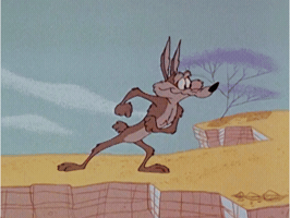 Warner Brothers Running GIF by Looney Tunes