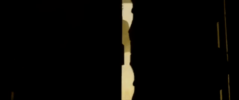 Bollywood Padmavati GIF