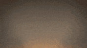 sister rosetta tharpe GIF by Gunpowder & Sky