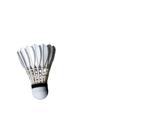 Badminton Racket Sticker by TV Refrath