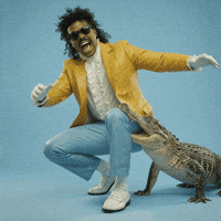 Pet Ok GIF by Jukebox Saints