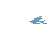 Birdie Swallow Sticker by Breden Kids