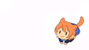cat believe GIF