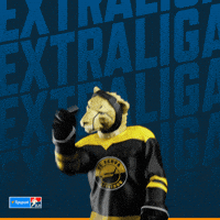 Hockey Hokej GIF by Tipsport extraliga