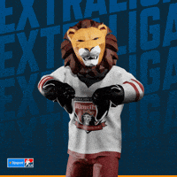 Hockey Hokej GIF by Tipsport extraliga