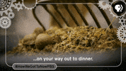 how we got to now technology GIF by HOW WE GOT TO NOW with Steven Johnson
