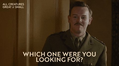 Channel 5 Drama GIF by All Creatures Great And Small