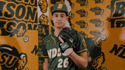 Baseball Bison GIF by NDSU Athletics