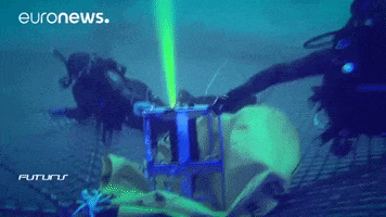 scuba diving underwater camera GIF by euronews