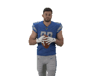 National Football League Sticker by Detroit Lions