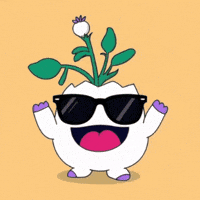 Im Cool GIF by Magic Eden