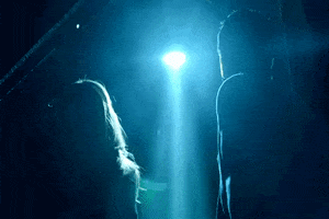 fox tv GIF by The X-Files