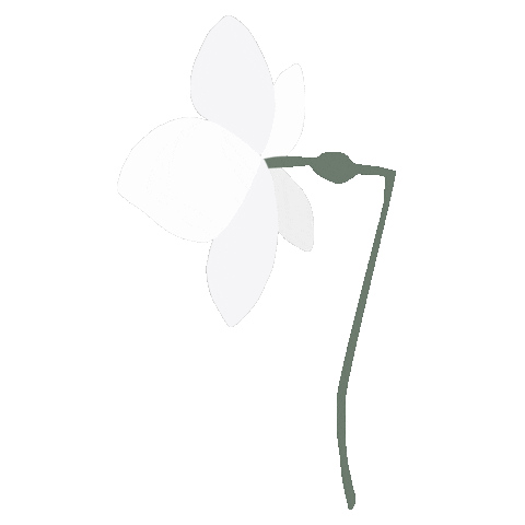 Flower Boho Sticker