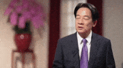 Taiwan Dpp GIF by GIPHY News
