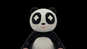 Mrkatandfriends future trip panda boat GIF
