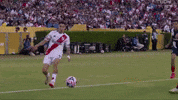 Rayados GIF