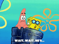 season 5 GIF by SpongeBob SquarePants