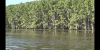 Education Biology GIF by DIIMSA Stock