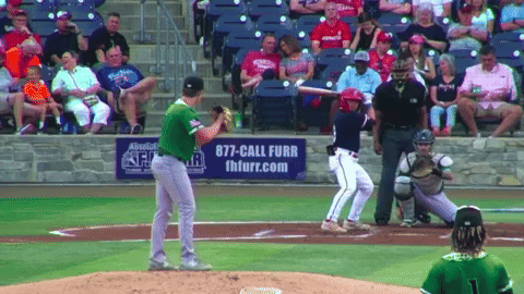 tesstass giphyupload GIF