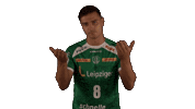 Handball-Bundesliga Sport Sticker by LIQUI MOLY HBL