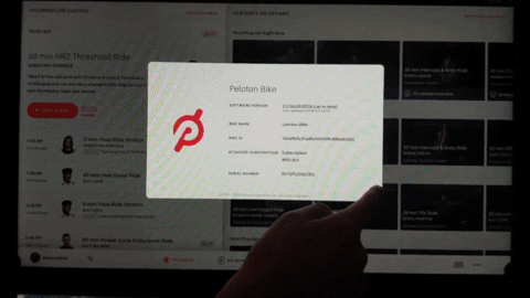 cezarbabin giphyupload GIF