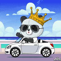 Happy Car GIF by PandaPals