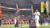 Super Bowl Football GIF by NFL