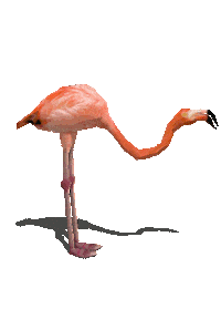 Happy Legs Sticker by badblueprints