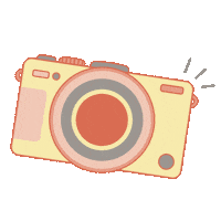 ludymorejonphotography camera miami fotos photograph Sticker