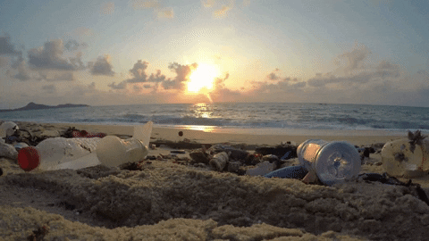 Garbage Pollution GIF by Oceana